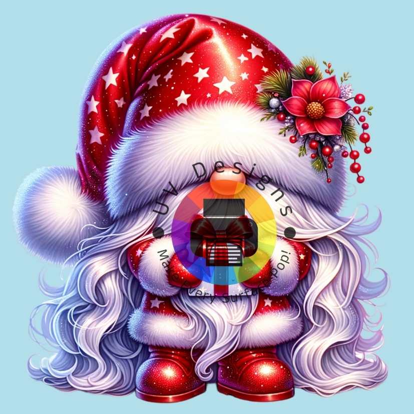 Gnome Santa No. 6