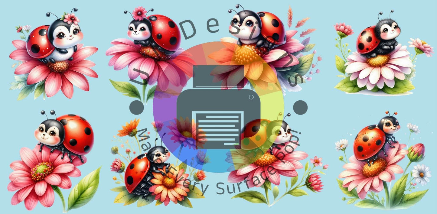 16oz lieveheersbeestjes