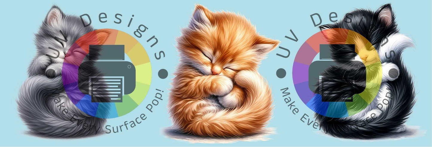 11oz Slapende kittens