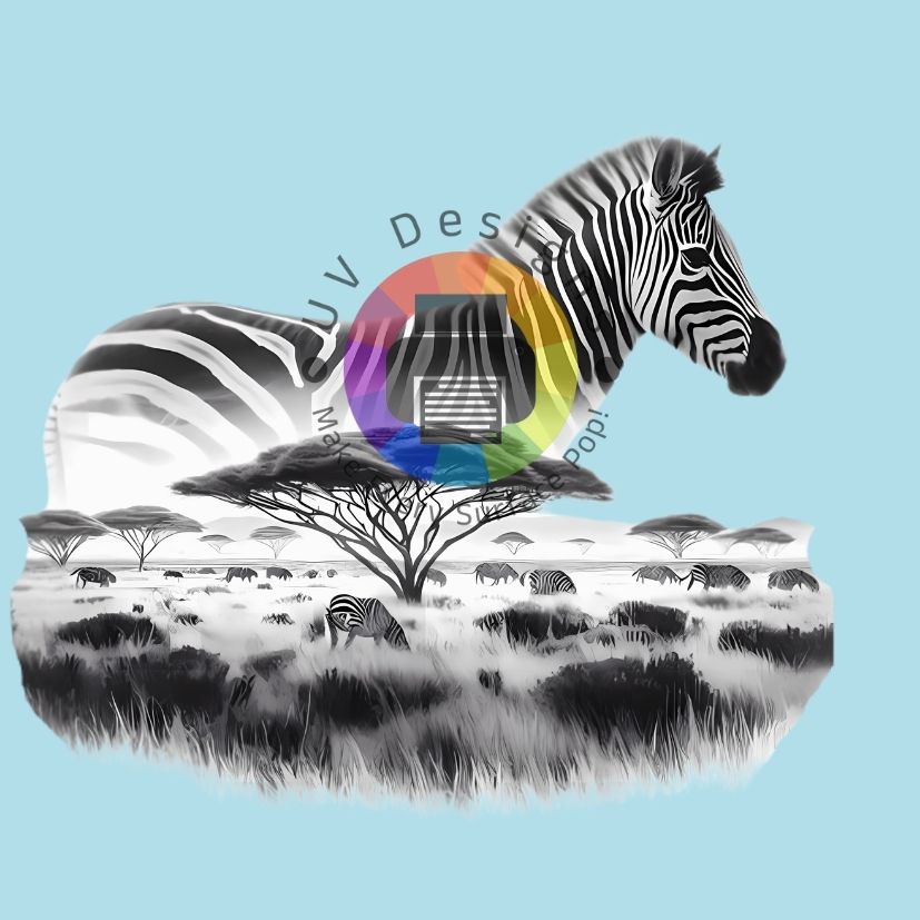 Safari zebra