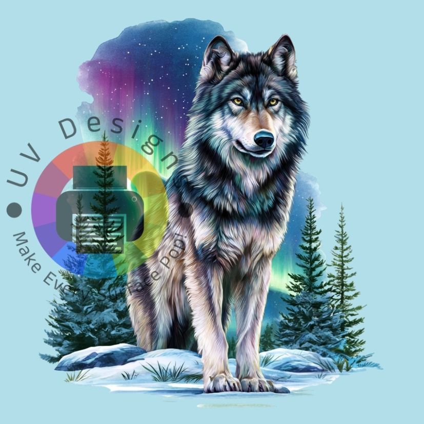 Aurora wolf nr 3