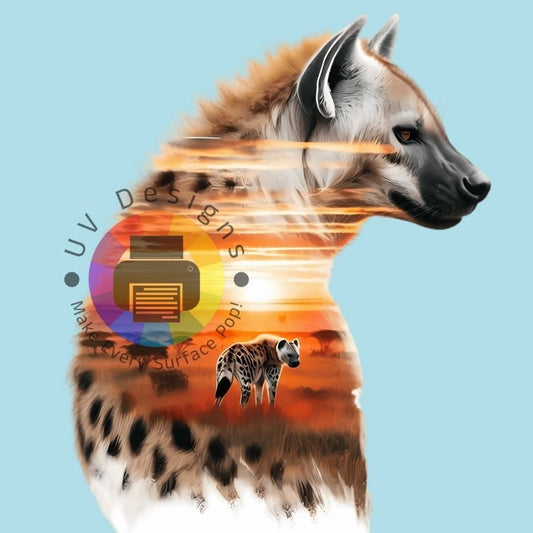 Safari hyena