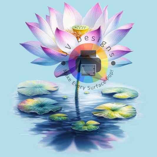 Lotus n°3