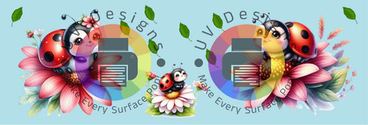 11oz Lieveheersbeestje