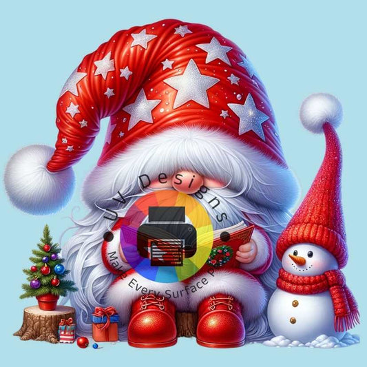 Gnome Santa No. 4