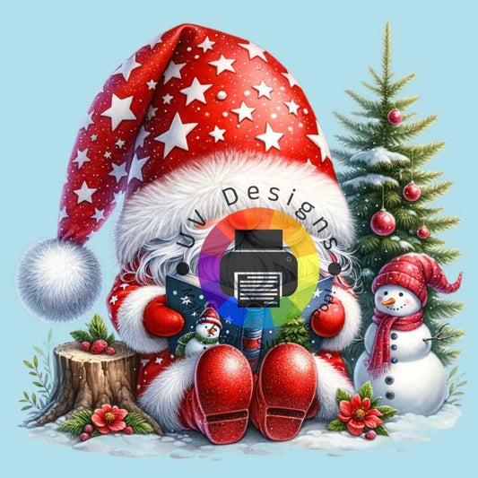 Gnome Santa No. 5