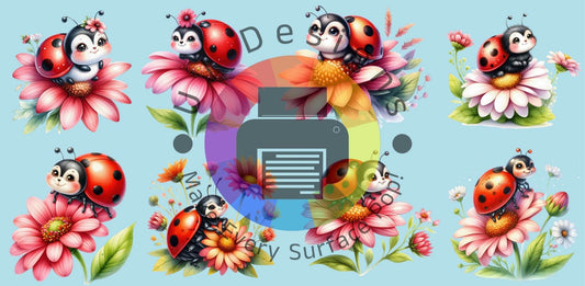 16oz lieveheersbeestjes