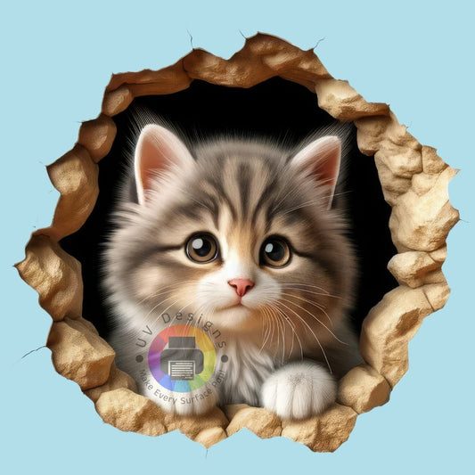 Chaton n°12 cm 2