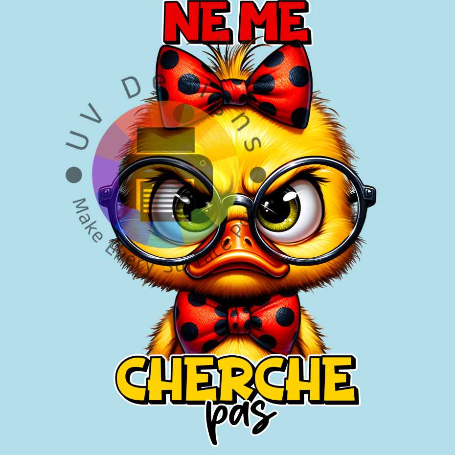 Ne me cherche pas
