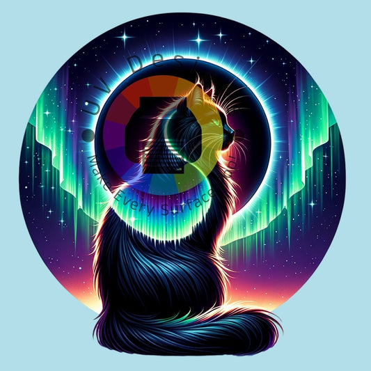 Aurora zwarte kat nr 6