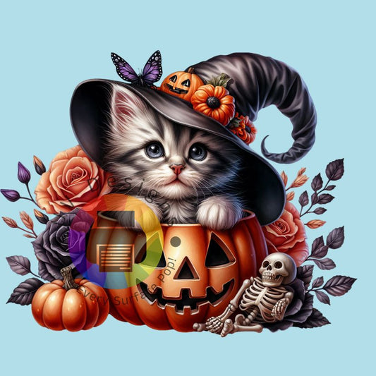 Kitten in pompoen nr 1