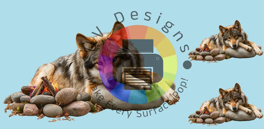 16oz Loup avec feu de camp