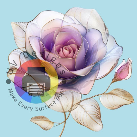 Wit paarse roos nr 6