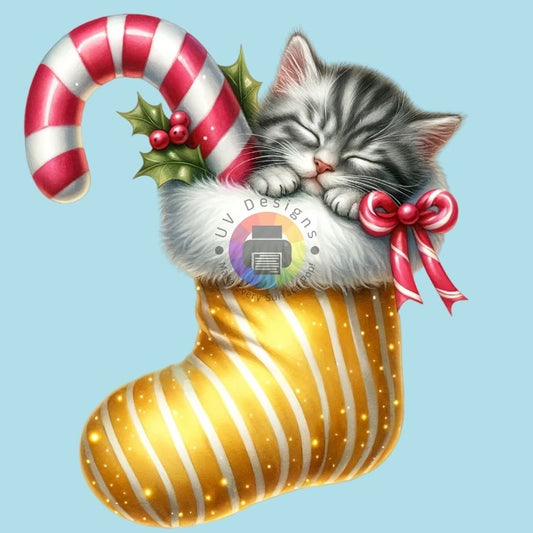 Kitten in Christmas Stocking #2