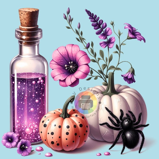 Citrouilles - araignée - boisson potion