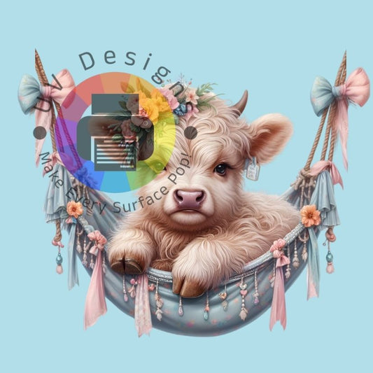 Bruin highland koetje in hangmat nr 1