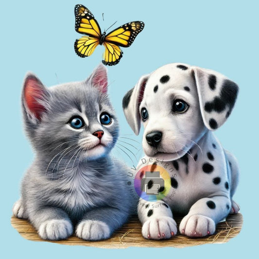 Chaton et chiot de 12 cm n° 6