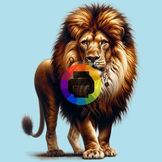 Lion No. 5