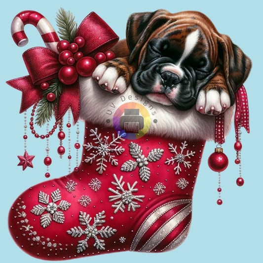 Puppy in kerstsok nr 12