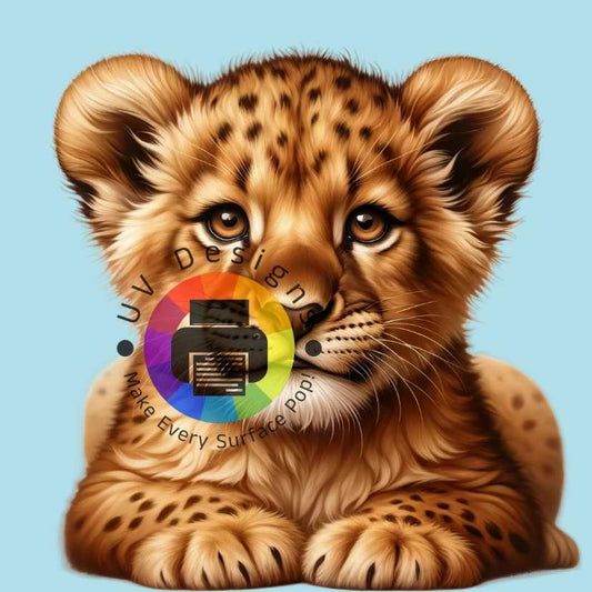 Lion cub no. 3