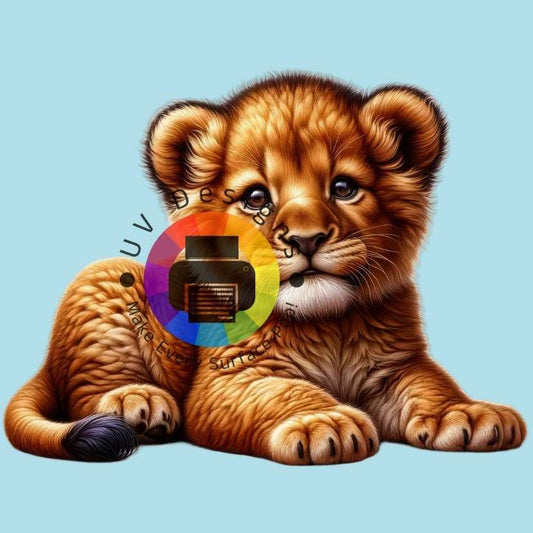 Lion cub no. 5