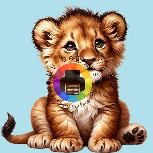 Lion cub no. 6