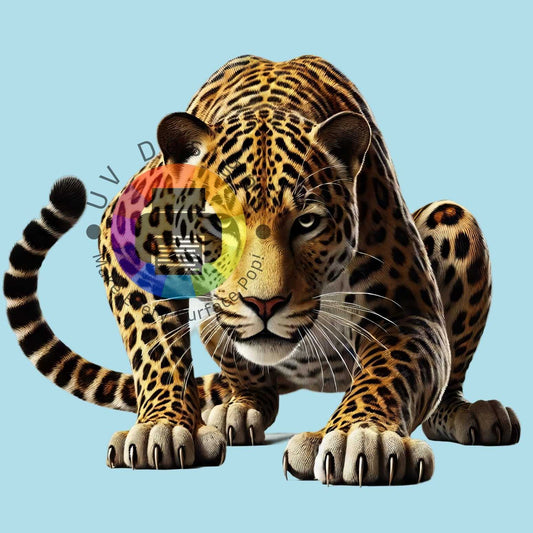 12 cm Jaguar nr 1